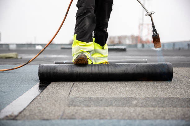 Best Roof Moss and Algae Removal  in Soap Lake, WA